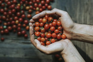 宝宝吃菠萝需要泡盐水几分钟？